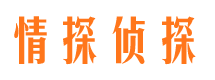 定日市婚外情调查